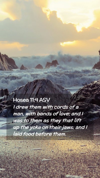 Picture 02 - Hosea 11:4 ASV Mobile Phone Wallpaper - I drew them with cords of a man, with bands of - Mobile Bible Verse Wallpaper