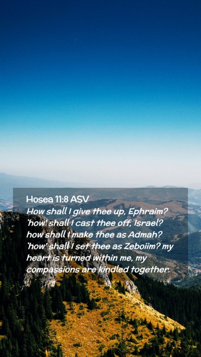 Picture 02 - Hosea 11:8 ASV Mobile Phone Wallpaper - How shall I give thee up, Ephraim? `how' shall I - Mobile Bible Verse Wallpaper