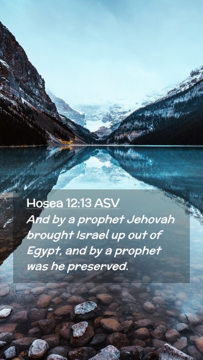 Picture 02 - Hosea 12:13 ASV Mobile Phone Wallpaper - And by a prophet Jehovah brought Israel up out of - Mobile Bible Verse Wallpaper