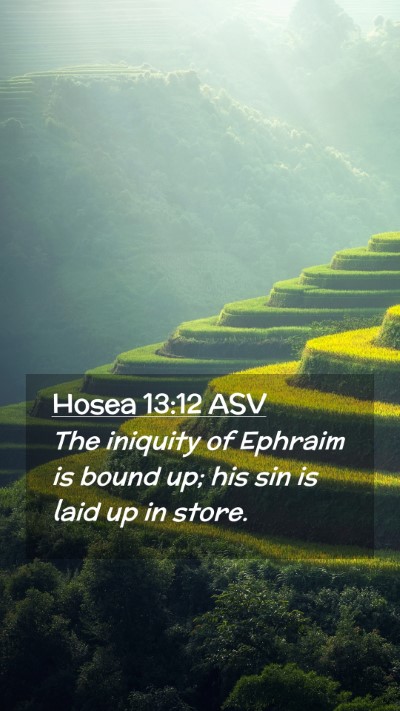 Picture 02 - Hosea 13:12 ASV Mobile Phone Wallpaper - The iniquity of Ephraim is bound up; his sin is - Mobile Bible Verse Wallpaper