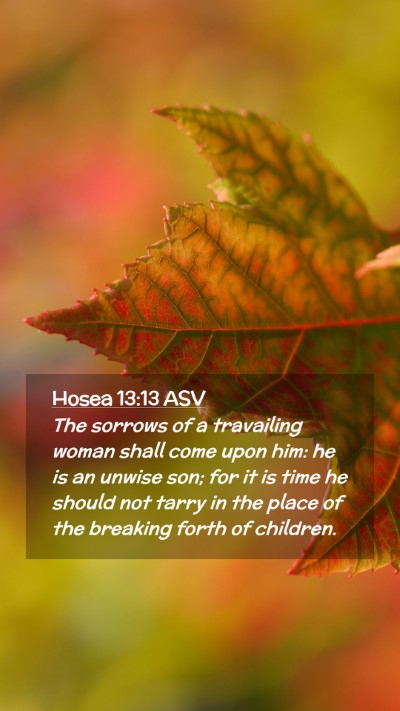 Picture 02 - Hosea 13:13 ASV Mobile Phone Wallpaper - The sorrows of a travailing woman shall come upon - Mobile Bible Verse Wallpaper