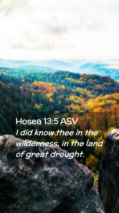 Picture 02 - Hosea 13:5 ASV Mobile Phone Wallpaper - I did know thee in the wilderness, in the land of - Mobile Bible Verse Wallpaper