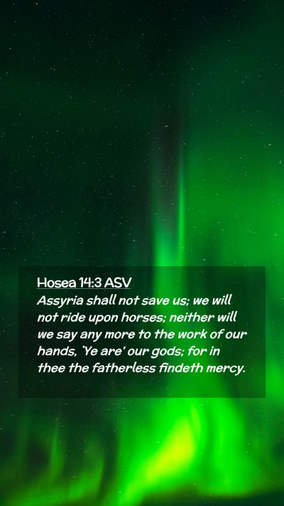 Picture 02 - Hosea 14:3 ASV Mobile Phone Wallpaper - Assyria shall not save us; we will not ride upon - Mobile Bible Verse Wallpaper