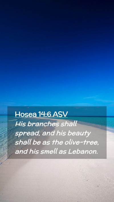 Picture 02 - Hosea 14:6 ASV Mobile Phone Wallpaper - His branches shall spread, and his beauty shall - Mobile Bible Verse Wallpaper