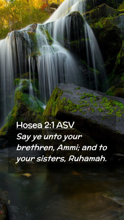 Picture 02 - Hosea 2:1 ASV Mobile Phone Wallpaper - Say ye unto your brethren, Ammi; and to your - Mobile Bible Verse Wallpaper