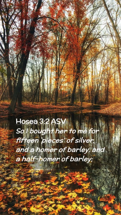 Picture 02 - Hosea 3:2 ASV Mobile Phone Wallpaper - So I bought her to me for fifteen `pieces' of - Mobile Bible Verse Wallpaper