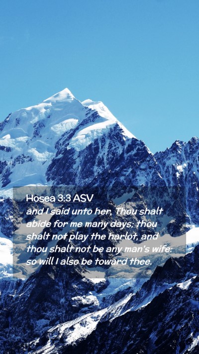 Picture 02 - Hosea 3:3 ASV Mobile Phone Wallpaper - and I said unto her, Thou shalt abide for me many - Mobile Bible Verse Wallpaper
