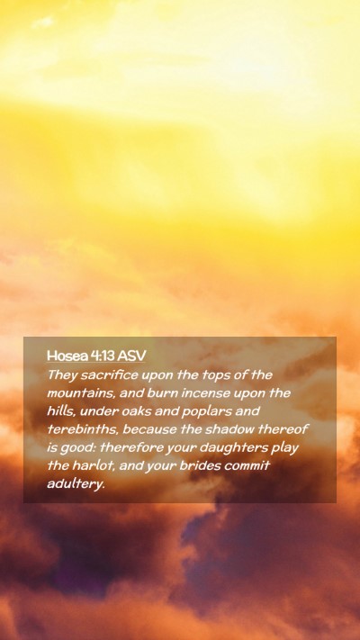 Picture 02 - Hosea 4:13 ASV Mobile Phone Wallpaper - They sacrifice upon the tops of the mountains, - Mobile Bible Verse Wallpaper