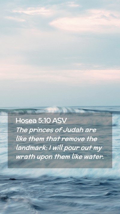 Picture 02 - Hosea 5:10 ASV Mobile Phone Wallpaper - The princes of Judah are like them that remove - Mobile Bible Verse Wallpaper