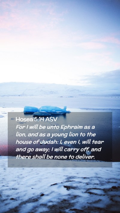 Picture 02 - Hosea 5:14 ASV Mobile Phone Wallpaper - For I will be unto Ephraim as a lion, and as a - Mobile Bible Verse Wallpaper