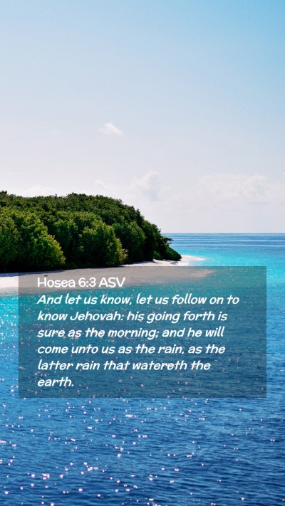 Picture 02 - Hosea 6:3 ASV Mobile Phone Wallpaper - And let us know, let us follow on to know - Mobile Bible Verse Wallpaper