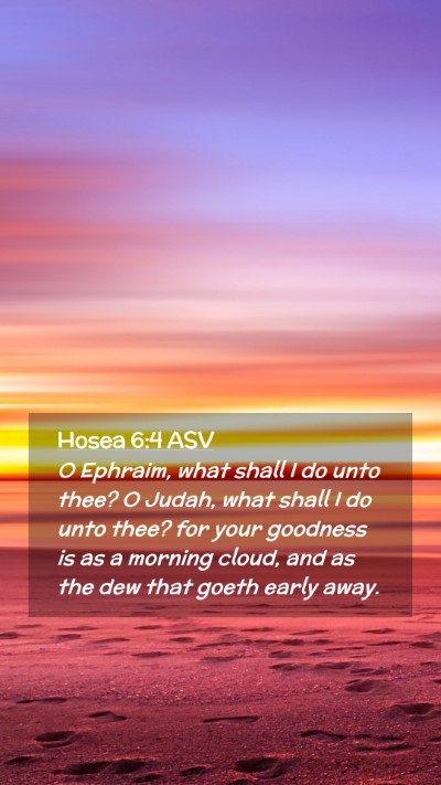 Picture 02 - Hosea 6:4 ASV Mobile Phone Wallpaper - O Ephraim, what shall I do unto thee? O Judah, - Mobile Bible Verse Wallpaper