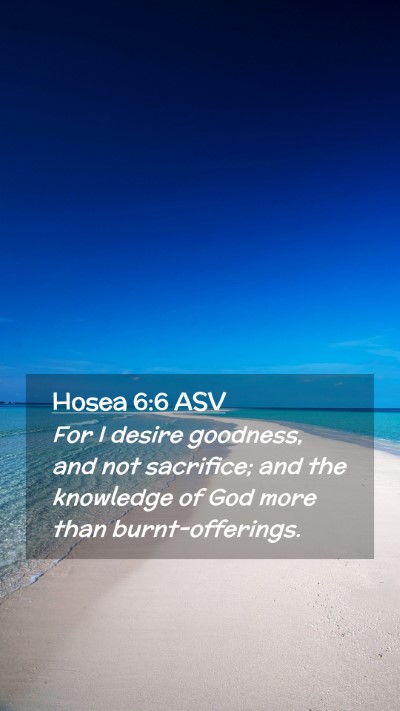 Picture 02 - Hosea 6:6 ASV Mobile Phone Wallpaper - For I desire goodness, and not sacrifice; and the - Mobile Bible Verse Wallpaper