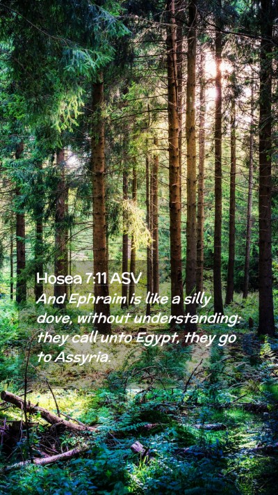 Picture 02 - Hosea 7:11 ASV Mobile Phone Wallpaper - And Ephraim is like a silly dove, without - Mobile Bible Verse Wallpaper
