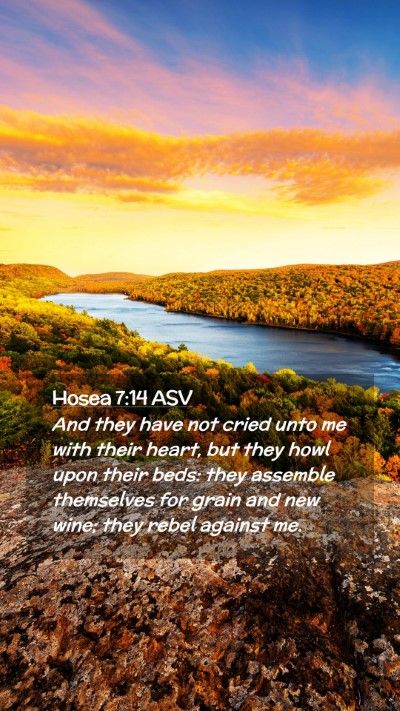 Picture 02 - Hosea 7:14 ASV Mobile Phone Wallpaper - And they have not cried unto me with their heart, - Mobile Bible Verse Wallpaper