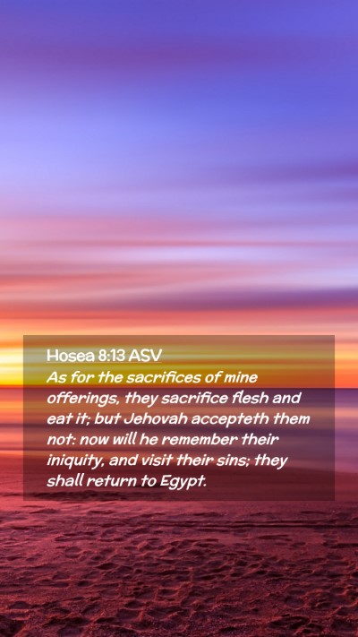 Picture 02 - Hosea 8:13 ASV Mobile Phone Wallpaper - As for the sacrifices of mine offerings, they - Mobile Bible Verse Wallpaper