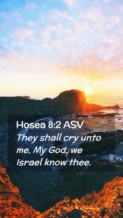 Picture 02 - Hosea 8:2 ASV Mobile Phone Wallpaper - They shall cry unto me, My God, we Israel know - Mobile Bible Verse Wallpaper