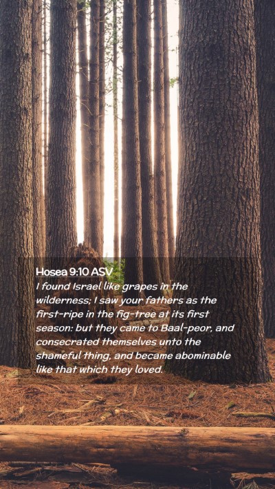 Picture 02 - Hosea 9:10 ASV Mobile Phone Wallpaper - I found Israel like grapes in the wilderness; I - Mobile Bible Verse Wallpaper
