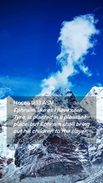 Picture 02 - Hosea 9:13 ASV Mobile Phone Wallpaper - Ephraim, like as I have seen Tyre, is planted in - Mobile Bible Verse Wallpaper