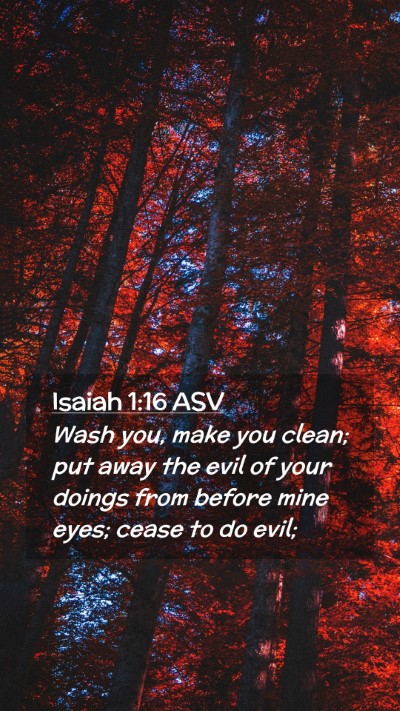 Picture 02 - Isaiah 1:16 ASV Mobile Phone Wallpaper - Wash you, make you clean; put away the evil of - Mobile Bible Verse Wallpaper