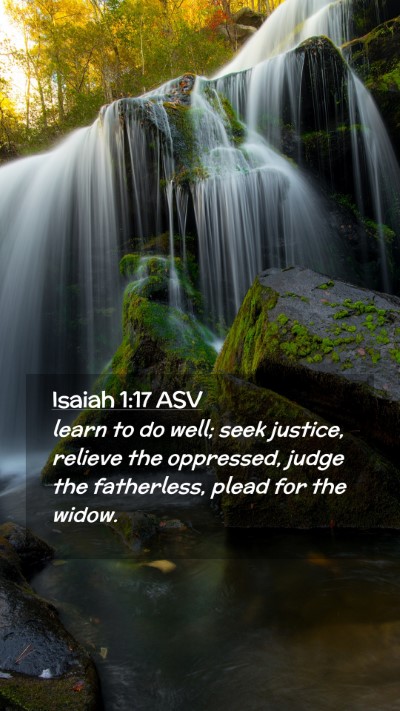 Picture 02 - Isaiah 1:17 ASV Mobile Phone Wallpaper - learn to do well; seek justice, relieve the - Mobile Bible Verse Wallpaper