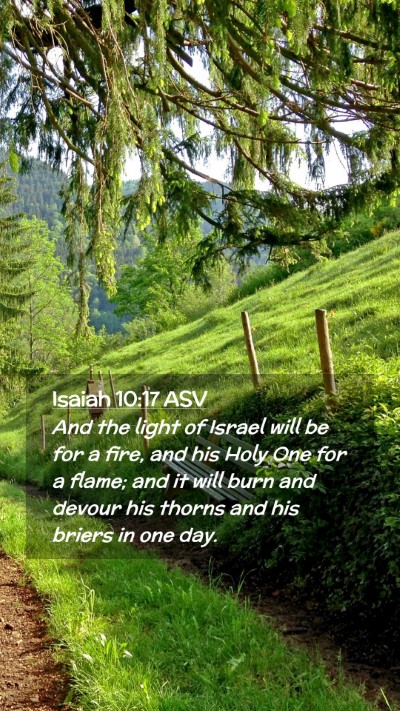 Picture 02 - Isaiah 10:17 ASV Mobile Phone Wallpaper - And the light of Israel will be for a fire, and - Mobile Bible Verse Wallpaper