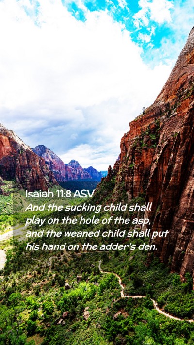 Picture 02 - Isaiah 11:8 ASV Mobile Phone Wallpaper - And the sucking child shall play on the hole of - Mobile Bible Verse Wallpaper