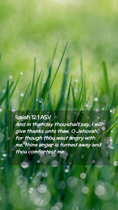 Picture 02 - Isaiah 12:1 ASV Mobile Phone Wallpaper - And in that day thou shalt say, I will give - Mobile Bible Verse Wallpaper
