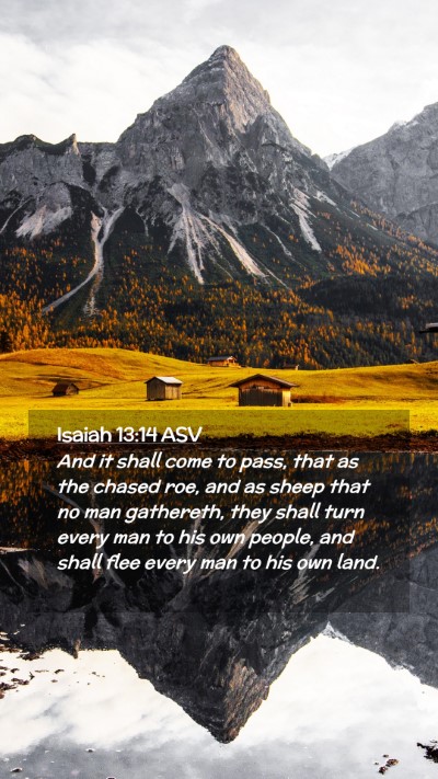 Picture 02 - Isaiah 13:14 ASV Mobile Phone Wallpaper - And it shall come to pass, that as the chased - Mobile Bible Verse Wallpaper