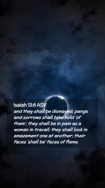Picture 02 - Isaiah 13:8 ASV Mobile Phone Wallpaper - and they shall be dismayed; pangs and sorrows - Mobile Bible Verse Wallpaper