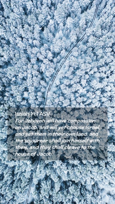 Picture 02 - Isaiah 14:1 ASV Mobile Phone Wallpaper - For Jehovah will have compassion on Jacob, and - Mobile Bible Verse Wallpaper