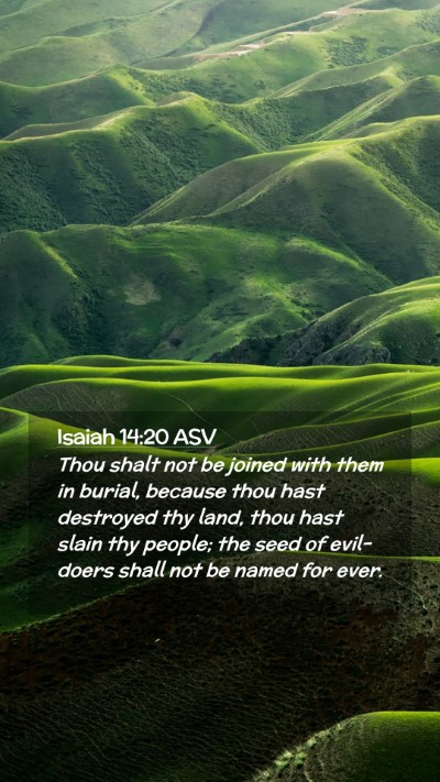 Picture 02 - Isaiah 14:20 ASV Mobile Phone Wallpaper - Thou shalt not be joined with them in burial, - Mobile Bible Verse Wallpaper
