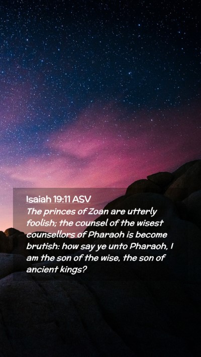 Picture 02 - Isaiah 19:11 ASV Mobile Phone Wallpaper - The princes of Zoan are utterly foolish; the - Mobile Bible Verse Wallpaper