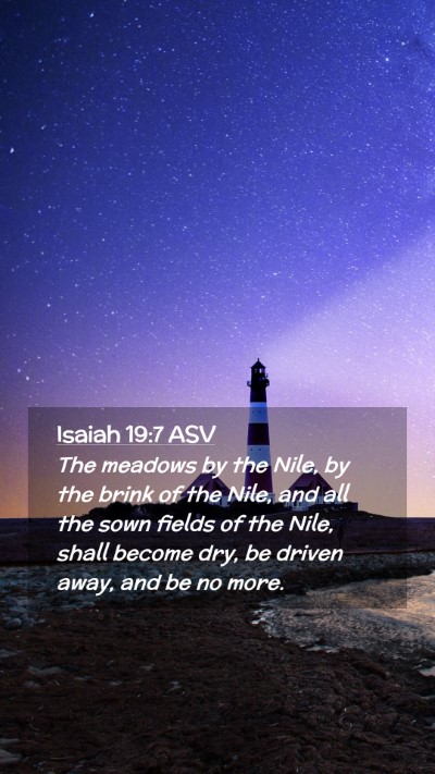 Picture 02 - Isaiah 19:7 ASV Mobile Phone Wallpaper - The meadows by the Nile, by the brink of the - Mobile Bible Verse Wallpaper