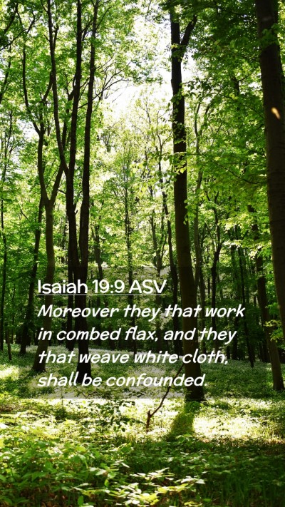 Picture 02 - Isaiah 19:9 ASV Mobile Phone Wallpaper - Moreover they that work in combed flax, and they - Mobile Bible Verse Wallpaper
