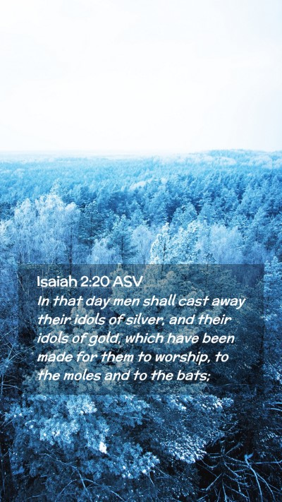 Picture 02 - Isaiah 2:20 ASV Mobile Phone Wallpaper - In that day men shall cast away their idols of - Mobile Bible Verse Wallpaper