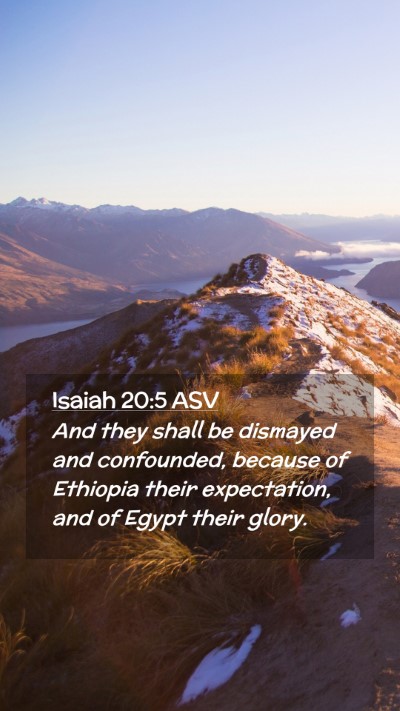 Picture 02 - Isaiah 20:5 ASV Mobile Phone Wallpaper - And they shall be dismayed and confounded, - Mobile Bible Verse Wallpaper