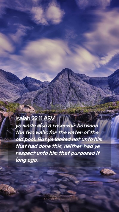Picture 02 - Isaiah 22:11 ASV Mobile Phone Wallpaper - ye made also a reservoir between the two walls - Mobile Bible Verse Wallpaper