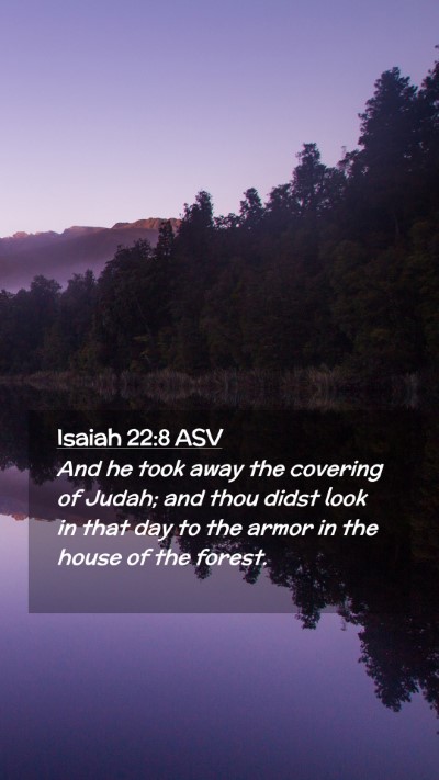 Picture 02 - Isaiah 22:8 ASV Mobile Phone Wallpaper - And he took away the covering of Judah; and thou - Mobile Bible Verse Wallpaper