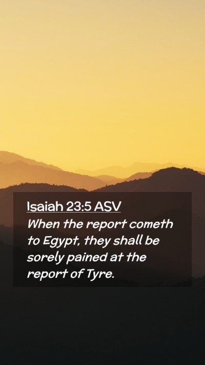 Picture 02 - Isaiah 23:5 ASV Mobile Phone Wallpaper - When the report cometh to Egypt, they shall be - Mobile Bible Verse Wallpaper
