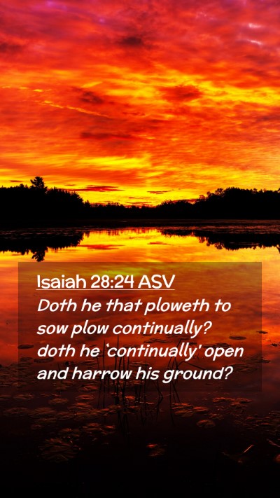 Picture 02 - Isaiah 28:24 ASV Mobile Phone Wallpaper - Doth he that ploweth to sow plow continually? - Mobile Bible Verse Wallpaper