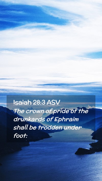 Picture 02 - Isaiah 28:3 ASV Mobile Phone Wallpaper - The crown of pride of the drunkards of Ephraim - Mobile Bible Verse Wallpaper