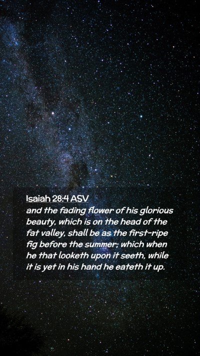 Picture 02 - Isaiah 28:4 ASV Mobile Phone Wallpaper - and the fading flower of his glorious beauty, - Mobile Bible Verse Wallpaper
