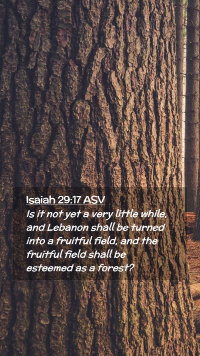 Picture 02 - Isaiah 29:17 ASV Mobile Phone Wallpaper - Is it not yet a very little while, and Lebanon - Mobile Bible Verse Wallpaper