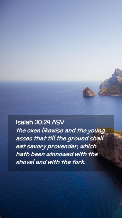 Picture 02 - Isaiah 30:24 ASV Mobile Phone Wallpaper - the oxen likewise and the young asses that till - Mobile Bible Verse Wallpaper