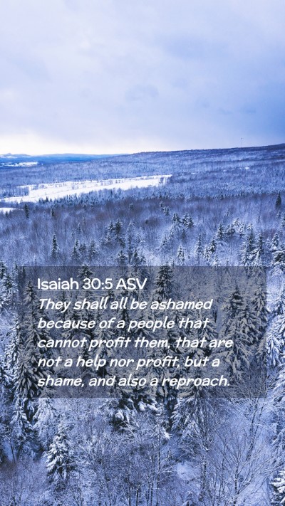 Picture 02 - Isaiah 30:5 ASV Mobile Phone Wallpaper - They shall all be ashamed because of a people - Mobile Bible Verse Wallpaper