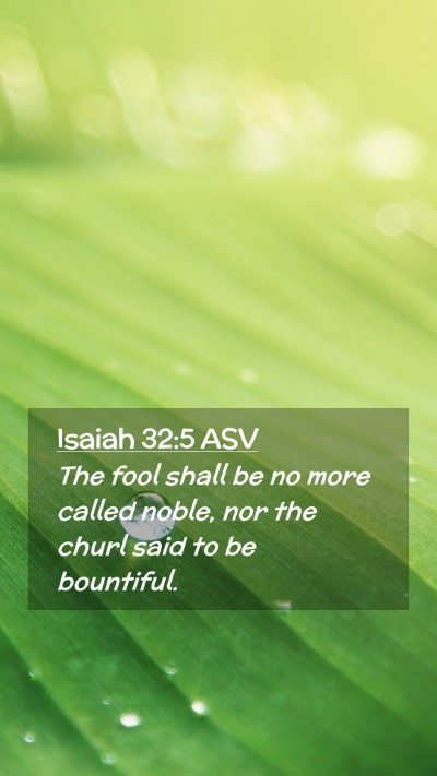 Picture 02 - Isaiah 32:5 ASV Mobile Phone Wallpaper - The fool shall be no more called noble, nor the - Mobile Bible Verse Wallpaper