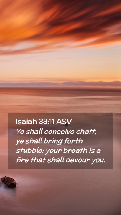 Picture 02 - Isaiah 33:11 ASV Mobile Phone Wallpaper - Ye shall conceive chaff, ye shall bring forth - Mobile Bible Verse Wallpaper