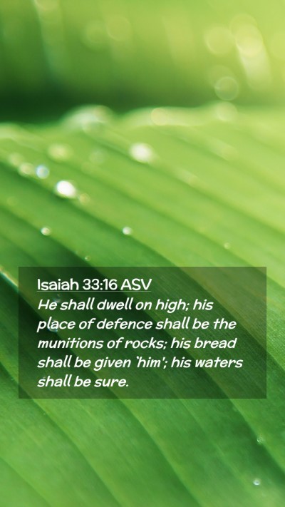 Picture 02 - Isaiah 33:16 ASV Mobile Phone Wallpaper - He shall dwell on high; his place of defence - Mobile Bible Verse Wallpaper