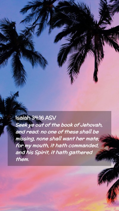Picture 02 - Isaiah 34:16 ASV Mobile Phone Wallpaper - Seek ye out of the book of Jehovah, and read: no - Mobile Bible Verse Wallpaper